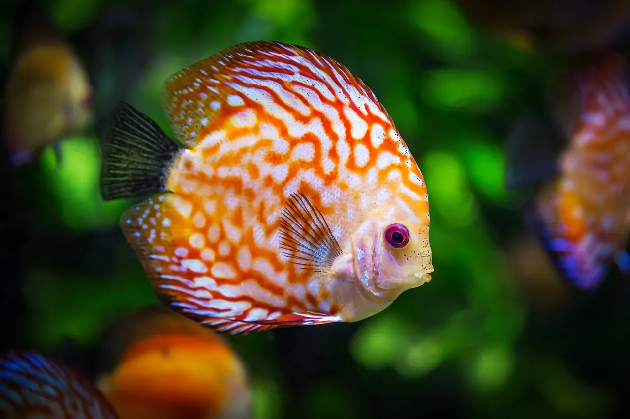 Choosing the Right Fishing Spot